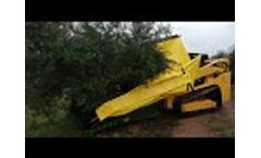 Sicma Harvesting Kit on a Skid Steer at Work in a Portugues Olive Orchard - Video