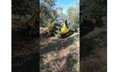 Sicma TR80 with Extended Reverse Umbrella During Olive Harvesting - Video