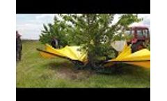 SICMA TR80 Harvesting Cherries - Video