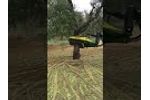 Buggy Speedy 125 - Video
