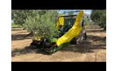 Harvesting Kit on a Skid-Steer Loader BOBCAT......Agility in the Olive Orchard - Video