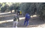 Buggy Sicma F3 Moving on Mud and Slope - Video