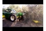 Buggy Sicma F3 140 Plus Sicma Gripper in Green - Video