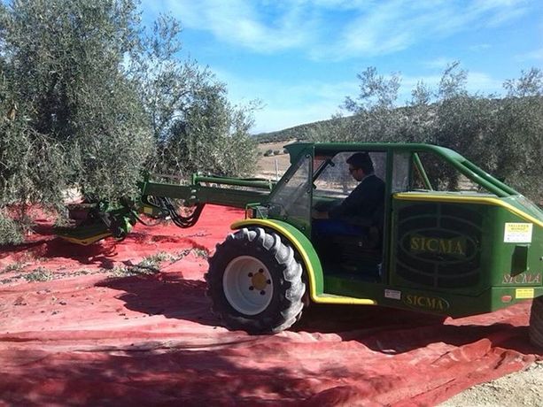 Harvester for Olives, nuts, cherries, plums with trunk shaker (equipped with or without umbrella)-2