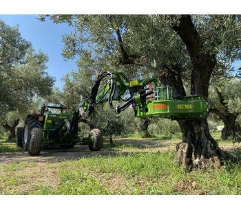 Sicma - Model TR80 - Harvester for olives, nuts, cherries, plums with trunk shaker (equipped with or without umbrella)