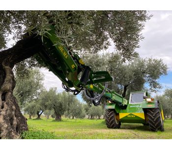 Harvester for olives, nuts (e.g. walnuts, almonds, pistachio etc.), cherries, plums with trunk shaker (equipped with or without umbrella)-3