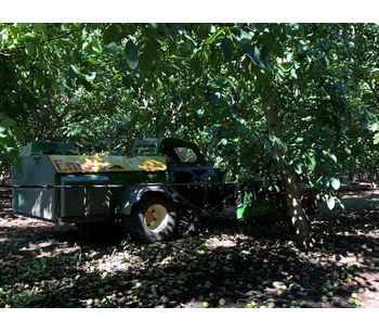 Harvester with trunk shaker for walnuts, almonds and other nuts-1