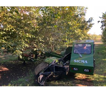 Sicma - Model N3 - Harvester with trunk shaker for walnuts, almonds and other nuts