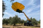 Sicma - Model Agrifarmer 28.7 - Harvester for olives, nuts, cherries, plums with trunk shaker (equipped with or without umbrella)