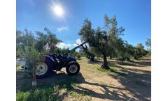 Sicma - Model TLX 100 - Harvester for olives, nuts  (walnuts, almonds, pistachio, etc.), cherries, plums with trunk shaker
