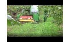 Monchiero Self-propelled Harvesters 2075: Brusca, Italy, Chestnuts Video