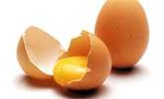 Egg Recall Highlights Need for Better Pathogen Testing Solutions