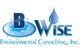 B Wise Environmental Consulting, Inc.