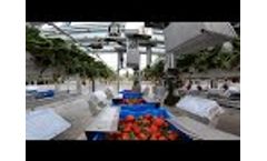 Agrobot E-Series Harvesting Video