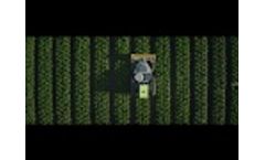 Agrobot BugVac - Video