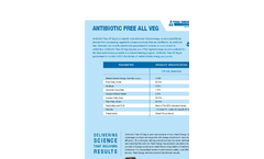 AntiBiotic - Vegetable Oil-Seed - Datasheet