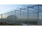 Venlo - Greenhouses