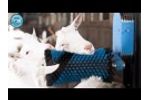 Goat Brush Video