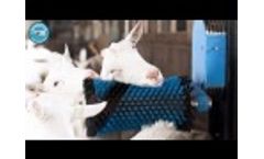 Goat Brush Video