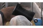 Comfort Pig Brushes - Video