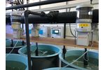 Model Mirafeed - Precision Aquaculture Feeder