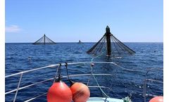 NOAA Selects Gulf of Mexico, Southern California as First Two Aquaculture Opportunity Areas