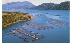 Chile Mandates Real-time Environmental Monitoring at Salmon Farms