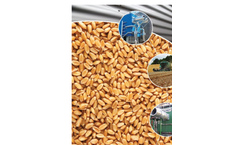 Chief - Model CD - Continuous Mixed Flow Grain Dryer Brochure