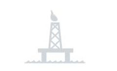 Bird control solutions for the oil and gas industry