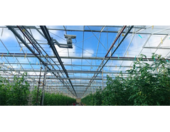 New Zealand Gourmet achieved a 100% reduction in bird activity in their greenhouse with the installation of the Agrilaser Autonomic - Case Study