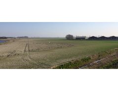 100% geese reduction after placing the Agrilaser Autonomic in the farm in Achthuizen and Oude-Tonge - Case Study