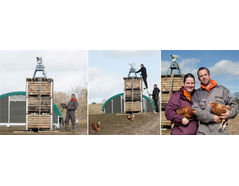 Automated bird repelling system as biosecurity measure against avian flu - Case Study