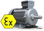 OMEC - Model EXD(E) IIB ATEX - Electric Motors