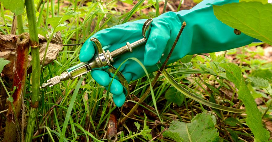 InjectorDos Pro - A Metered Dose Injection Applicator for Eliminating Invasive Weeds