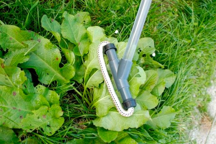 A Hand-Held Weed Wiper for Application of Systemic Herbicides-1