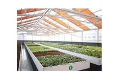 Photovoltaic Glass Panels for Solar PV Commercial Greenhouse
