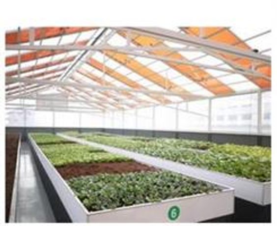 Photovoltaic Glass Panels for Solar PV Commercial Greenhouse - Agriculture - Horticulture