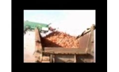 Shuknecht SP-132 Onion Harvester Video
