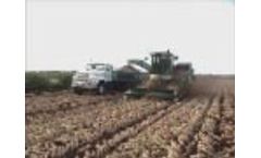 Shuknecht SP-132 Harvesting Green Onions Video