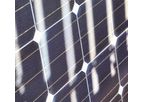 Solar Thermal & PV Systems