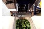 Broccoli Inline Floret Machine - Video