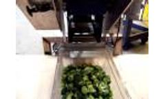 Broccoli Inline Floret Machine - Video