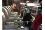 Broccoli Inline Floretting Machine  Video