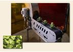 Agra-Best - Broccoli Online Floret Unit