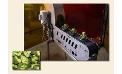 Agra-Best - Broccoli Online Floret Unit
