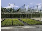 Model Openair - Plastic Greenhouse