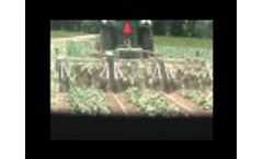 Top Air Onion Harvesters Video