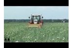 Top Air Onion Digger Video