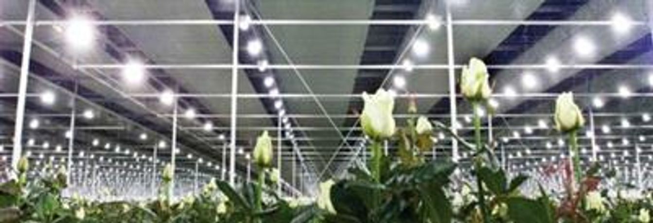 Greenhouse Light Emission Systems