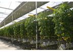 Alweco - Prevent Light Emissions for Greenhouse Horticulture